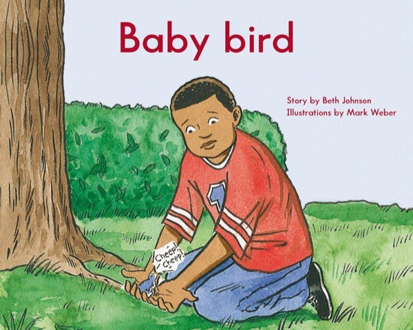 Cover for: Baby bird