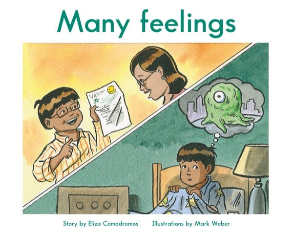 Cover for: Many feelings