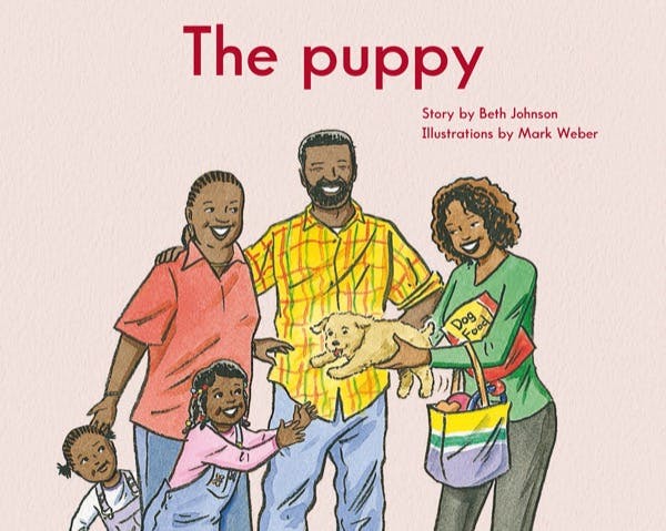 Cover for: The puppy